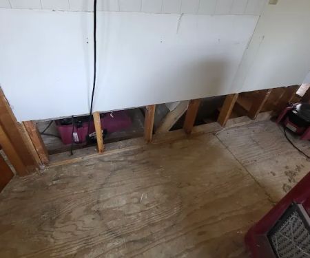 PuroClean Restoration Specialists