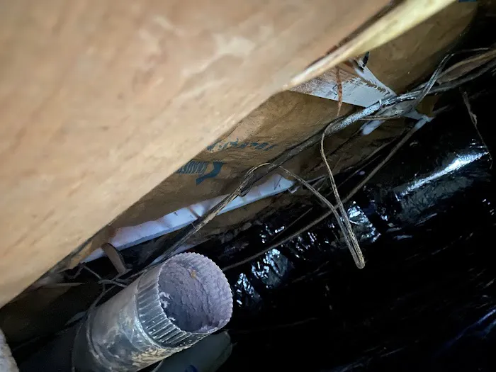 BELFOR Property Restoration (Columbus) Picture 5