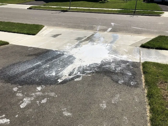 BELFOR Property Restoration (Columbus) Picture 9