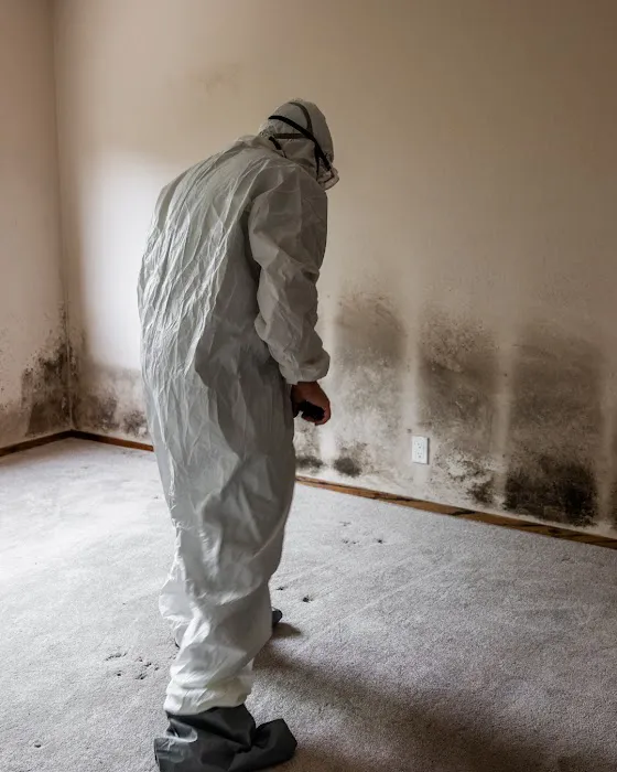 PHG Restoration Services Picture 7