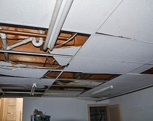 PHG Restoration Services Picture 1