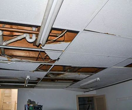 PHG Restoration Services