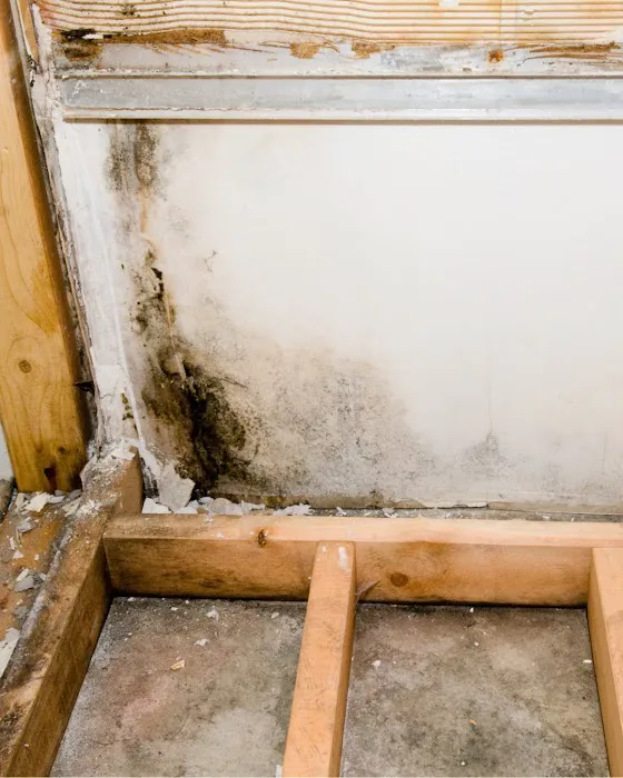 PHG Restoration Services Picture 3