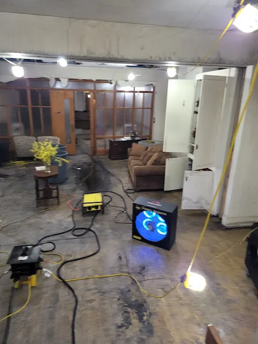 Bailfish Services LLC Picture 9