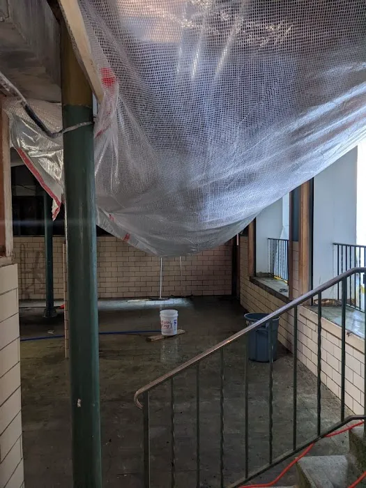 Bailfish Services LLC Picture 7