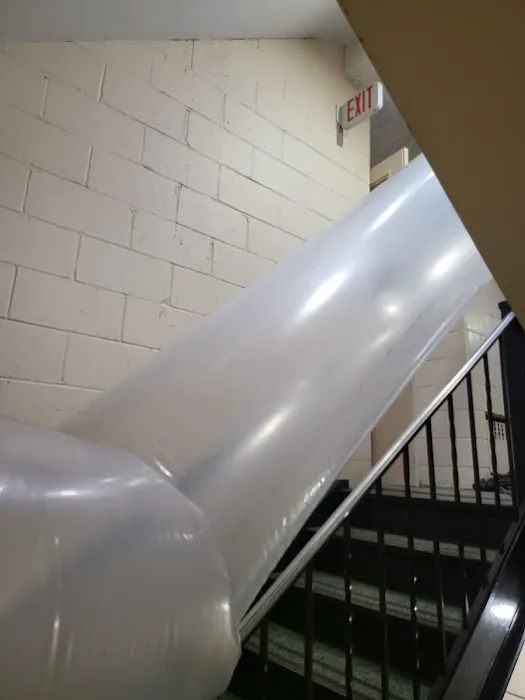 Bailfish Services LLC Picture 2