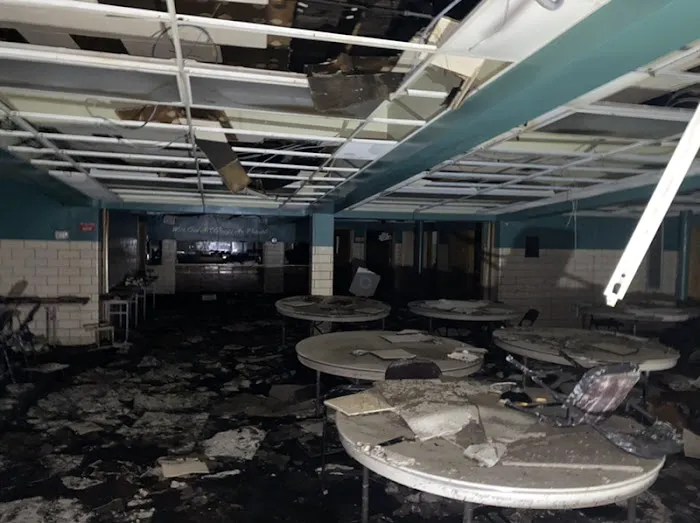 Bailfish Services LLC Picture 6