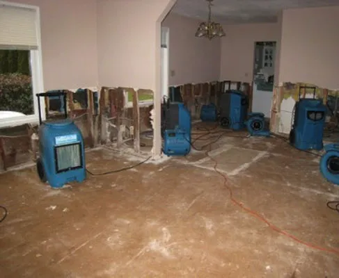 Bailfish Services LLC Picture 1