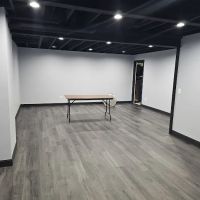 Crown Ambassador Painting ico