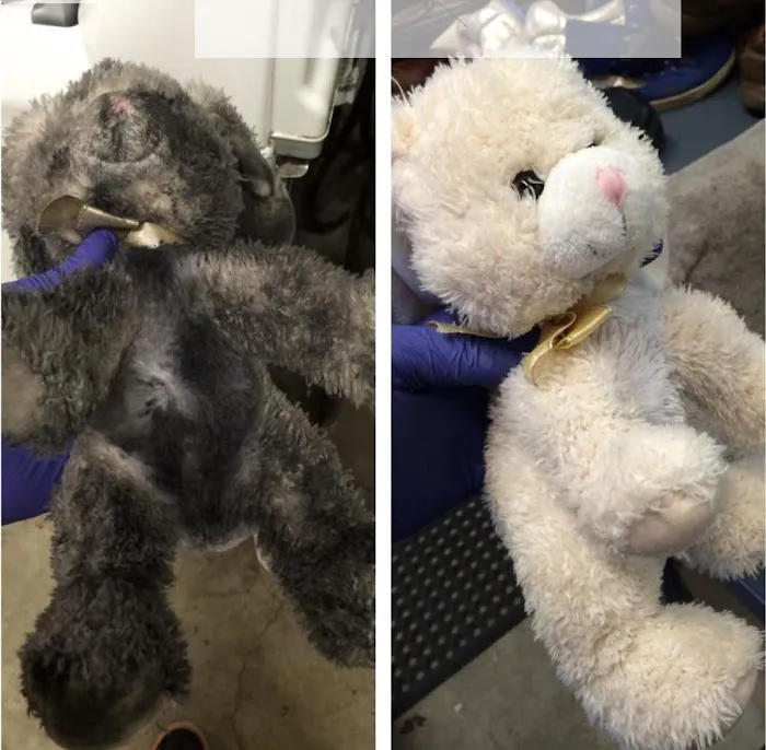 FRSTeam by DKS Dry Cleaning, Inc Picture 5