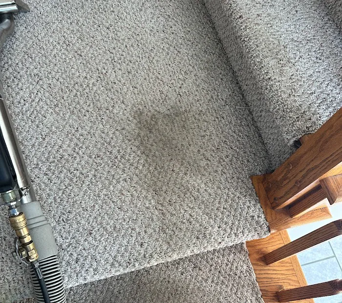 Stanley Steemer Picture 10