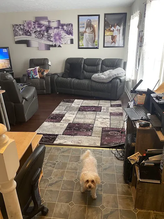 Stanley Steemer Picture 1