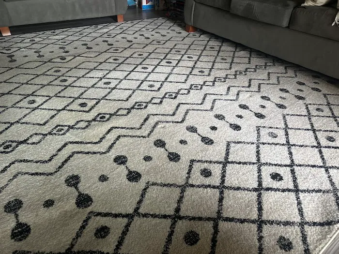 Stanley Steemer Picture 9