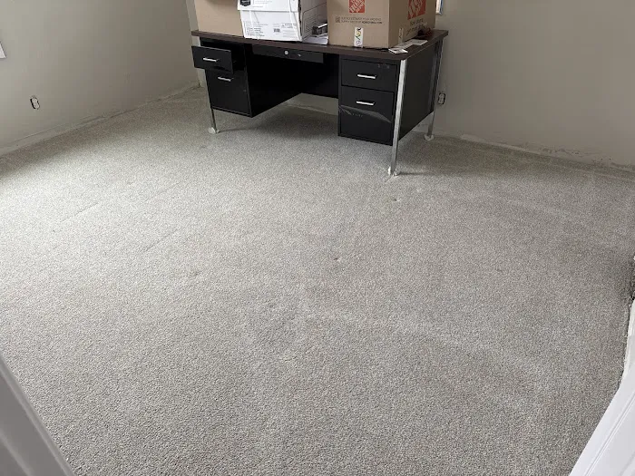 Stanley Steemer Picture 5