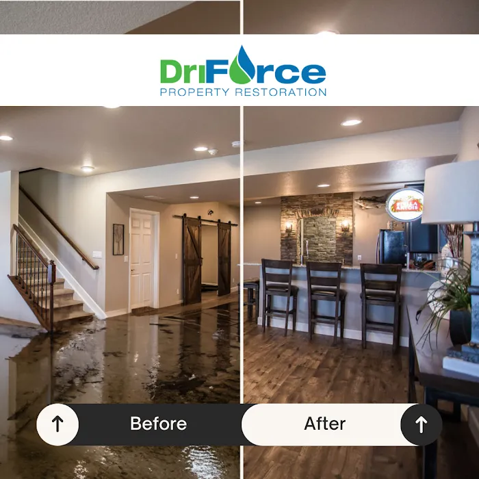 DriForce Property Picture 1