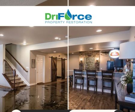 DriForce Property