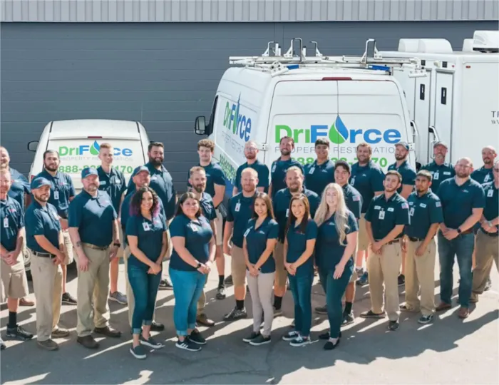 DriForce Property Picture 4