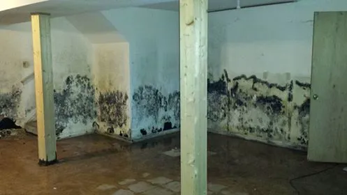 EnviroMax Services Picture 1