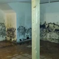 EnviroMax Services ico