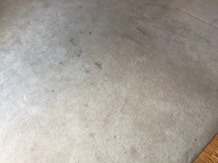 Jensens Carpet Care Picture 7