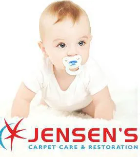 Jensens Carpet Care Picture 3