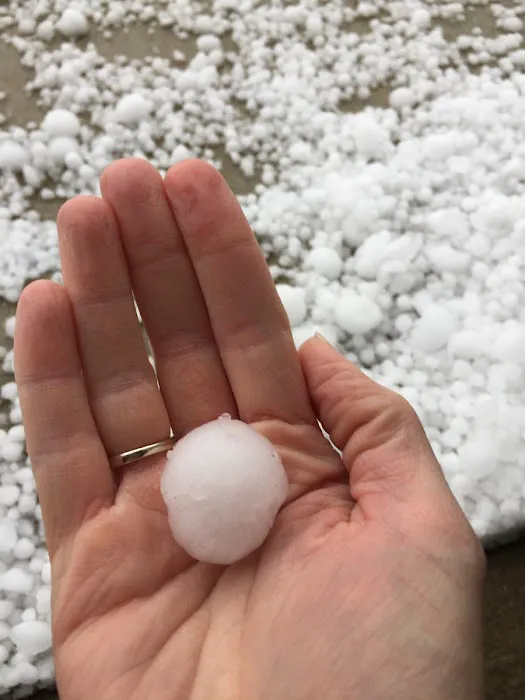 Miller Public Adjusters Picture 2