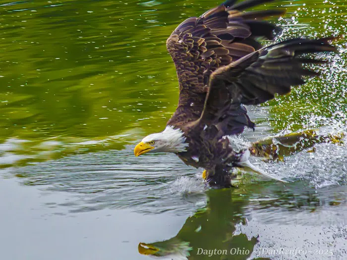 Roto-Rooter Plumbing & Water Cleanup Picture 4