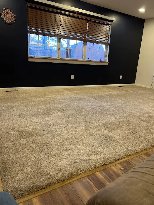 Stanley Steemer Picture 1