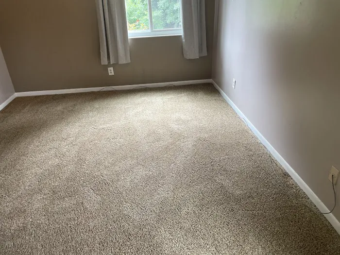 Stanley Steemer Picture 7