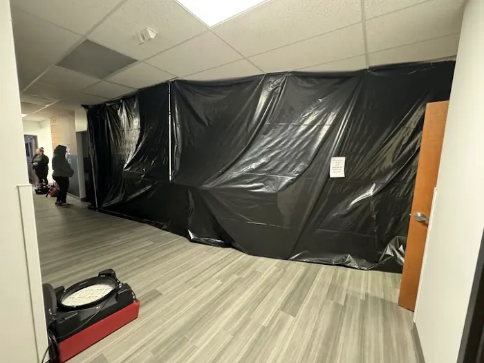 Maximum Restoration Picture 2