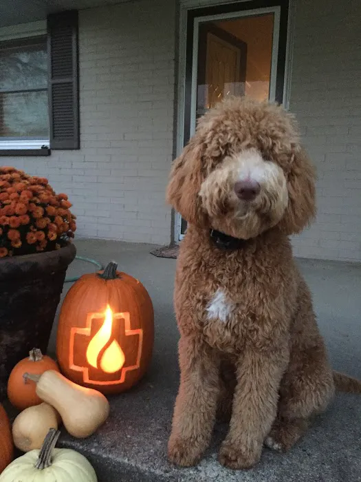 Damage Doctors Picture 4