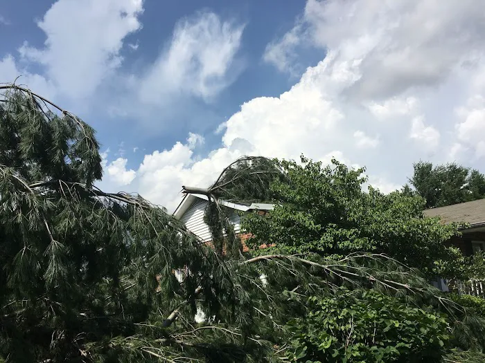 American Restoration Consultants Picture 7