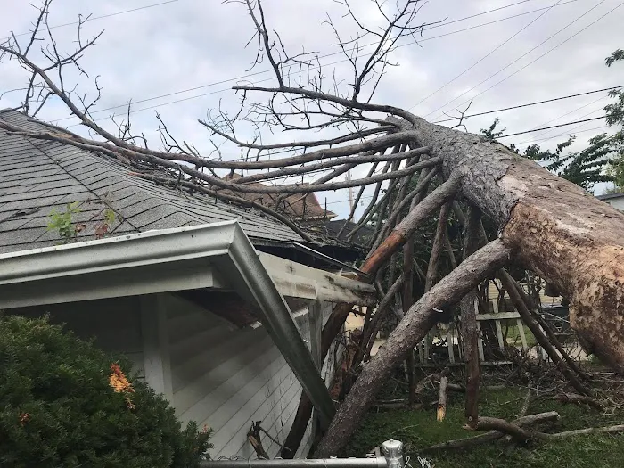 American Restoration Consultants Picture 4