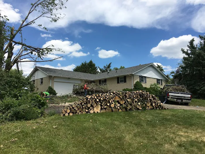 American Restoration Consultants Picture 3