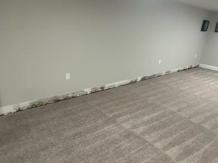 Certified Professional Restoration Picture 5