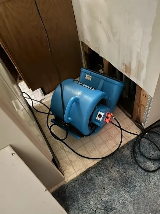 Certified Professional Restoration Picture 1