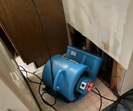 Certified Professional Restoration