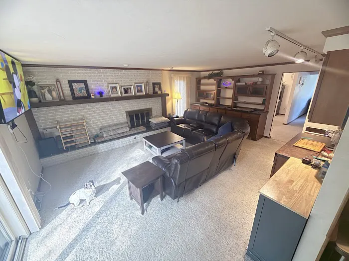 Stanley Steemer Picture 6