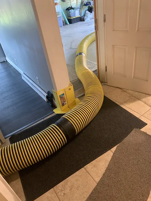 Stanley Steemer Picture 2