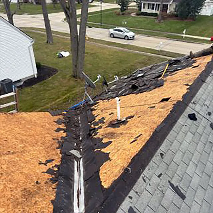 Integrated Restoration Picture 5