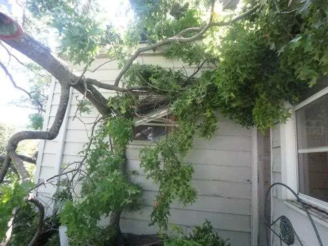 Integrated Restoration Picture 7