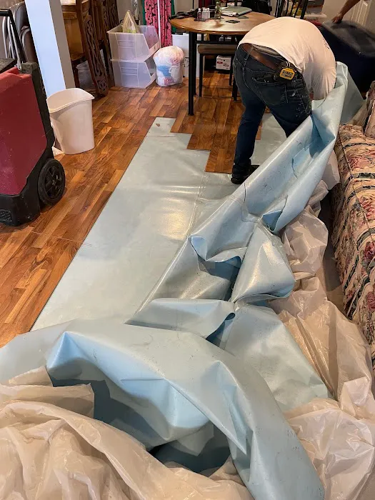 Integrated Restoration Picture 2