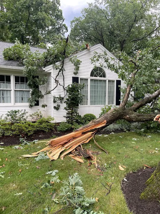 Integrated Restoration Picture 8