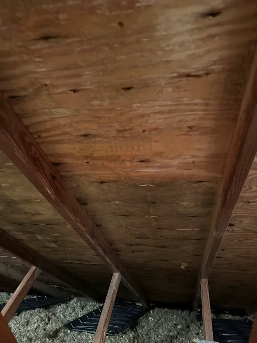 BBH Remediation Picture 2