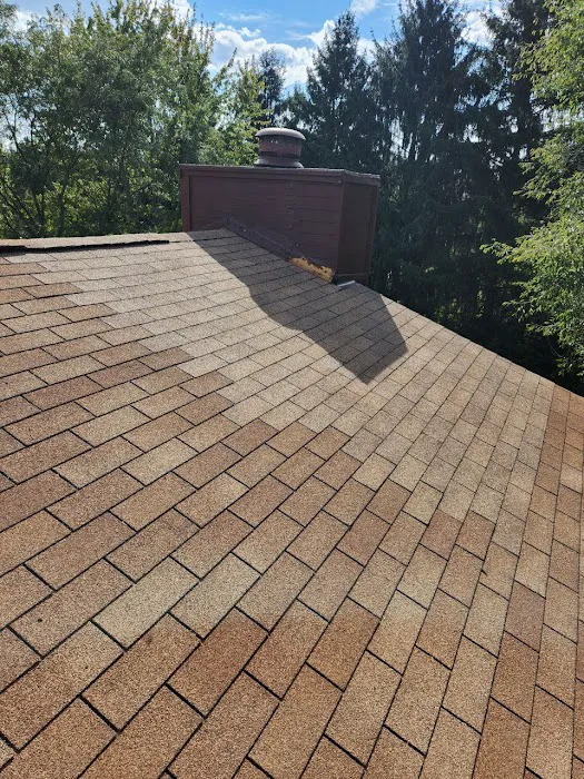 Reliable Roofing & Restoration Picture 10