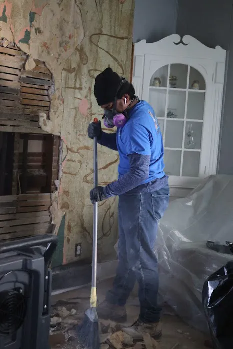 Cut and Dry Picture 3