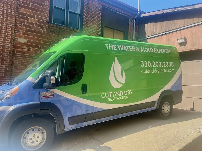 Cut and Dry Picture 8