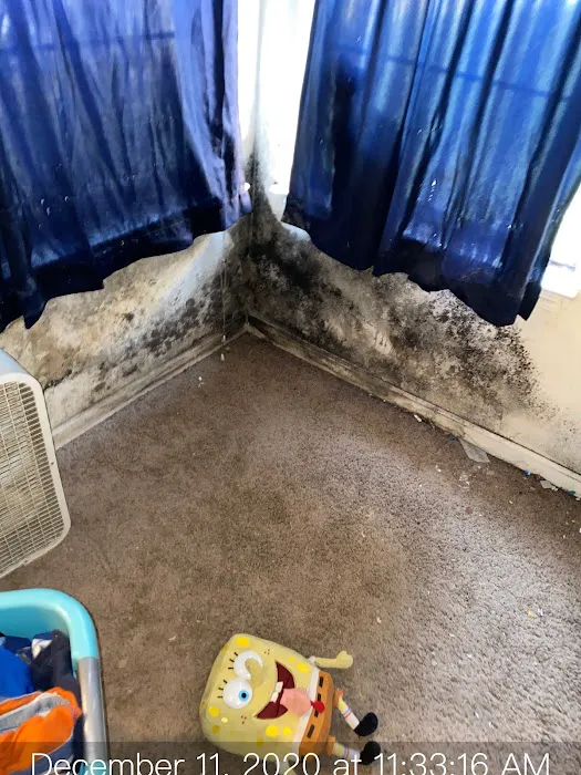 Flood Pro Inc Picture 4