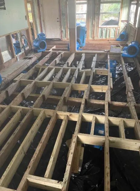 Dry Out USA, Inc Picture 9