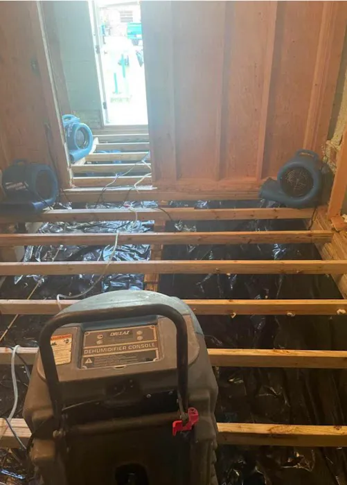 Dry Out USA, Inc Picture 1